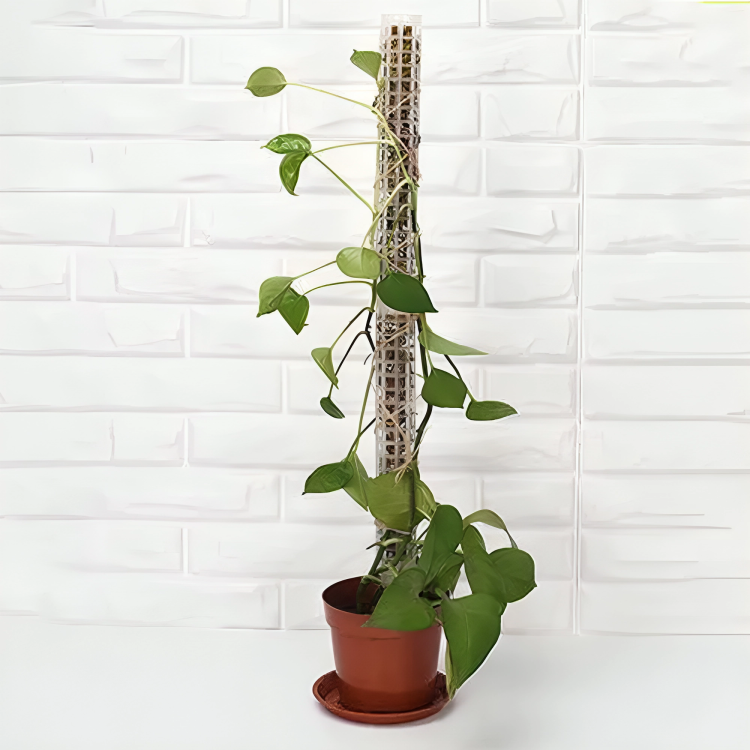 4 Pcs Plant Climbing Pole