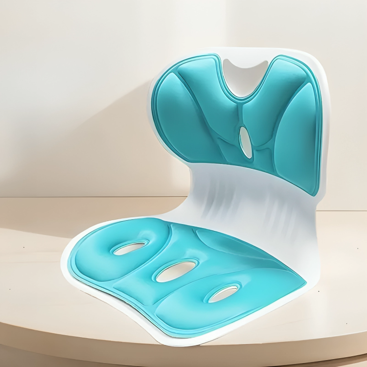 Ergonomic Support Cushion