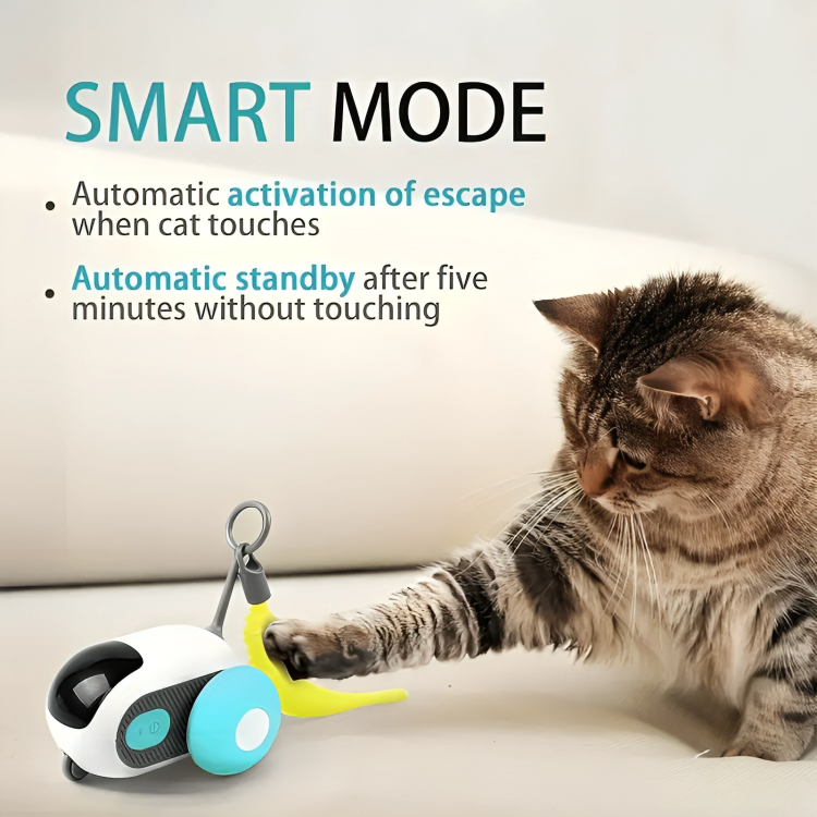 Smart Paws Cat Chaser