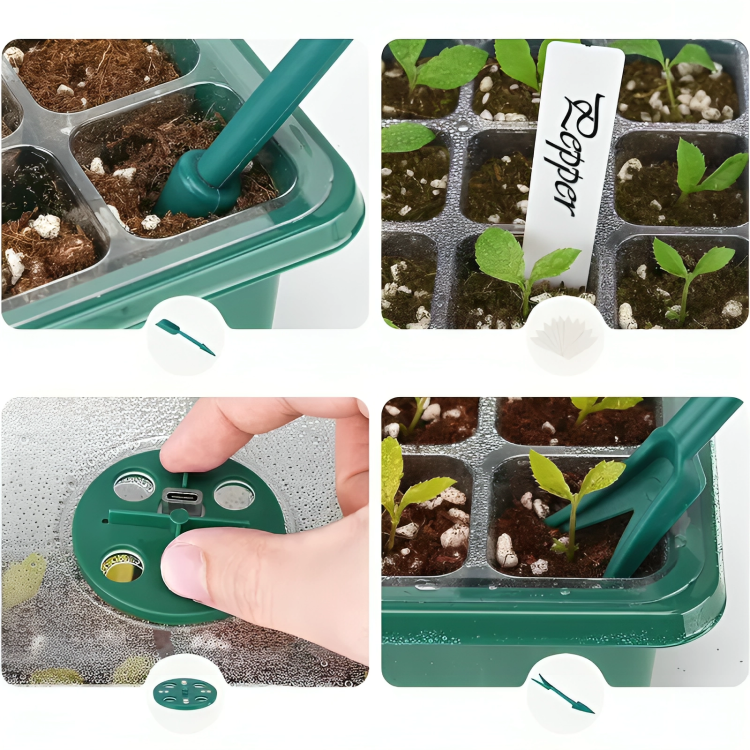 Seedling Starter Grow Box