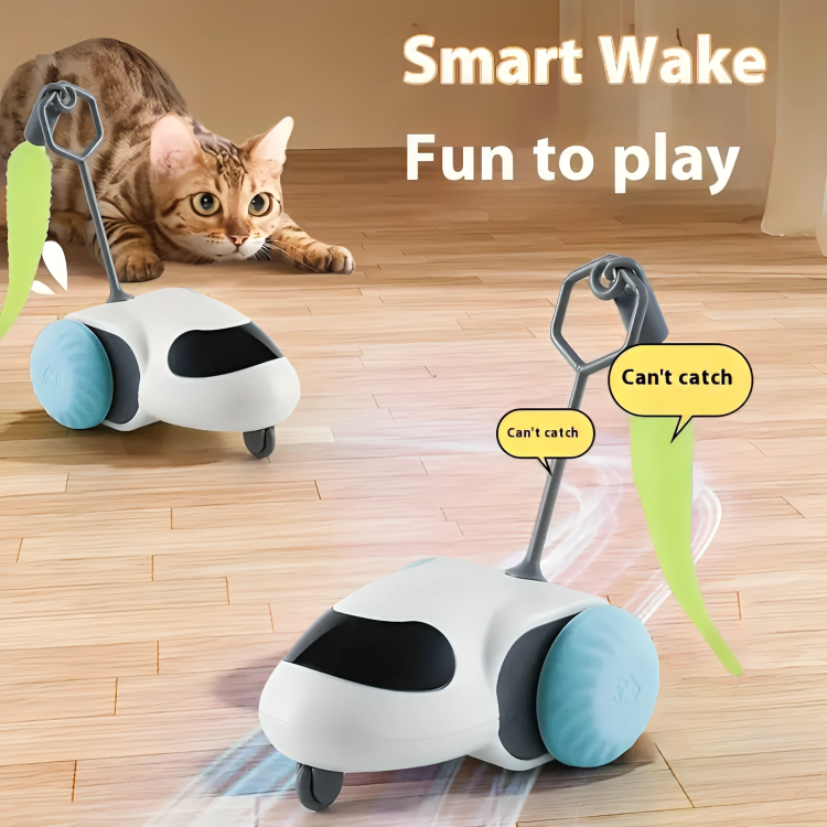 Smart Paws Cat Chaser