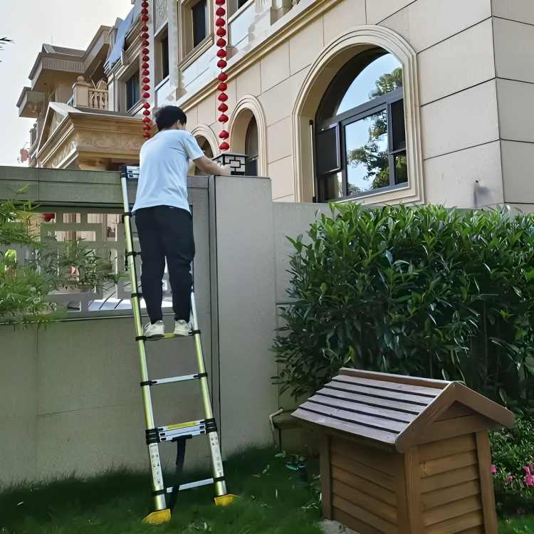 Telescopic Aluminium Ladder