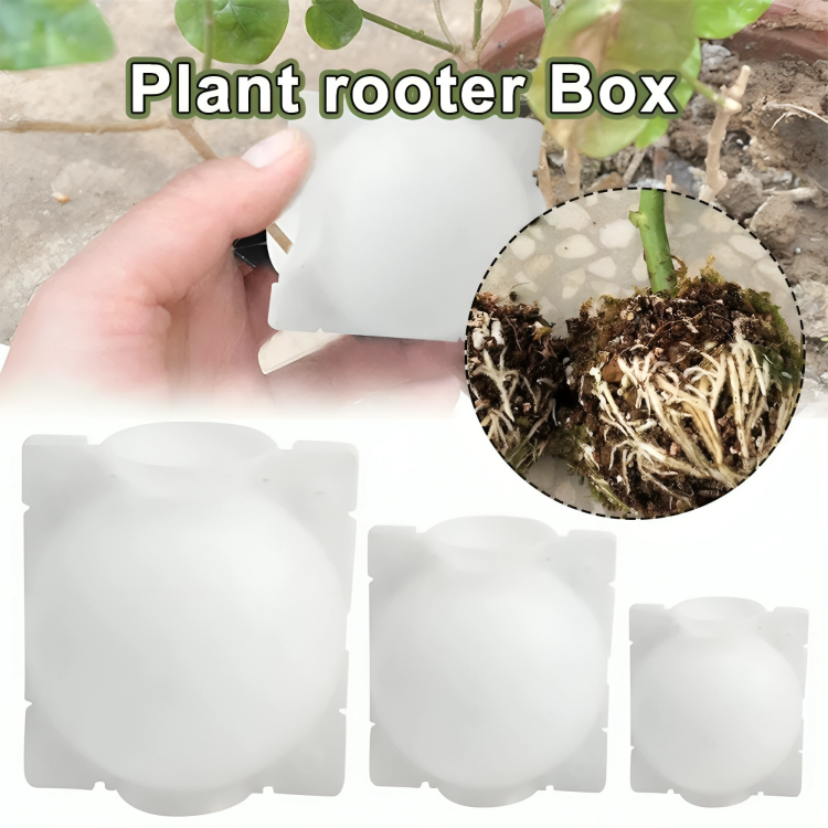 5 Pcs Plant Rooting Boxes