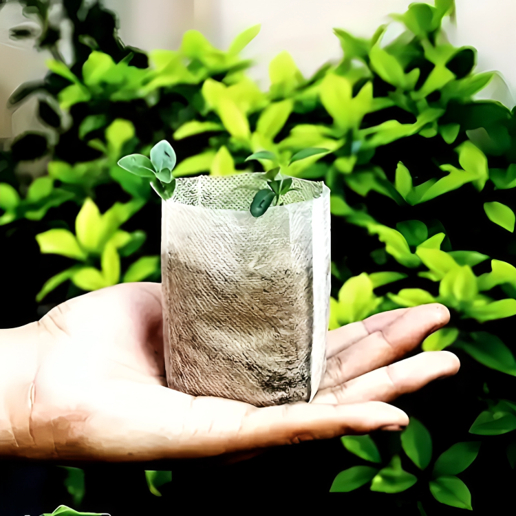 100 Pcs Biodegradable Grow Bags