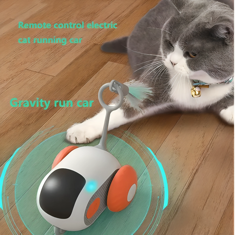 Smart Paws Cat Chaser