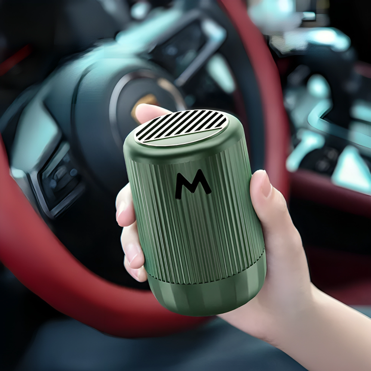 Scented Car Diffuser