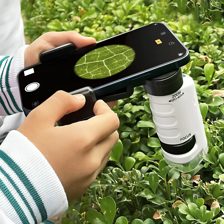 Mini Pocket Micrscope With LED