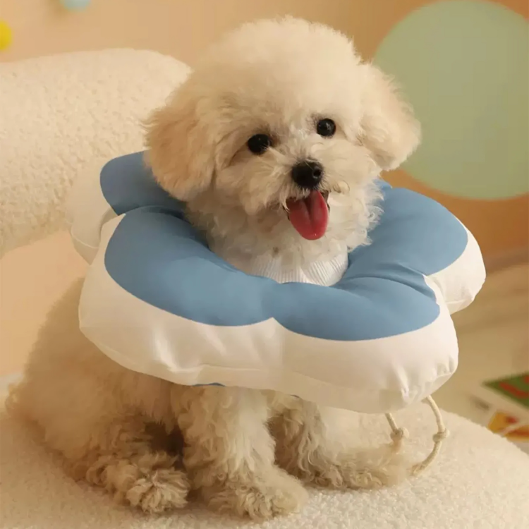 Pet Anti-Lick Protection Pillow