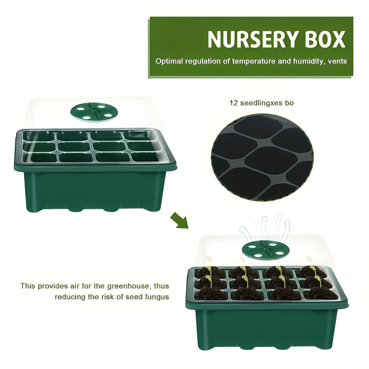 Seedling Starter Grow Box