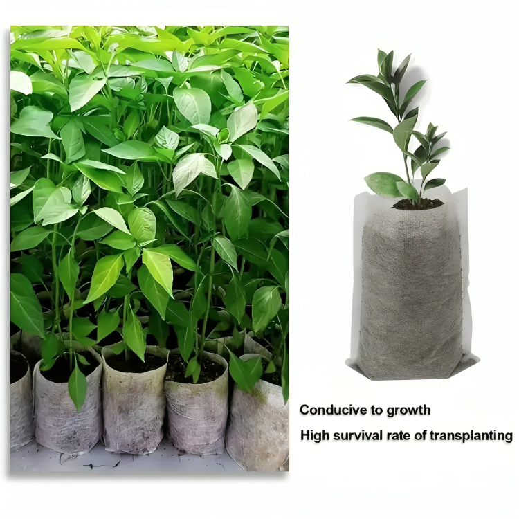 100 Pcs Biodegradable Grow Bags