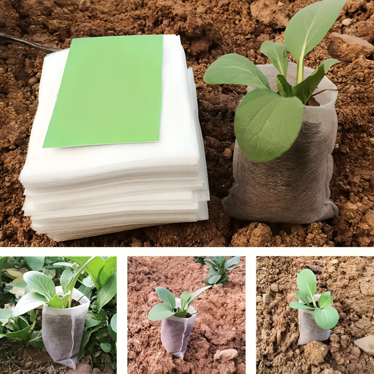 100 Pcs Biodegradable Grow Bags