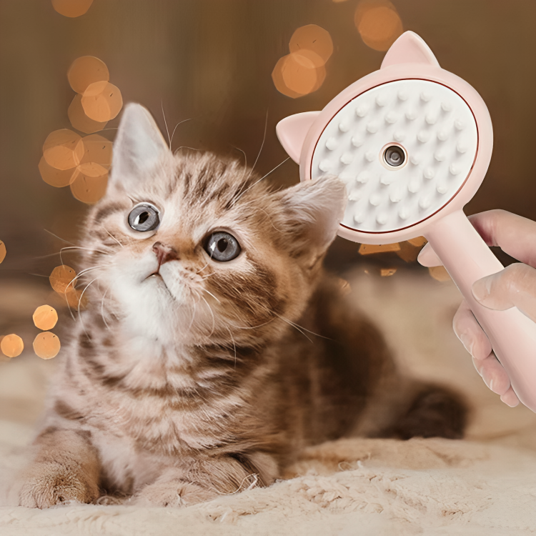 Purrfect Steam Groomer