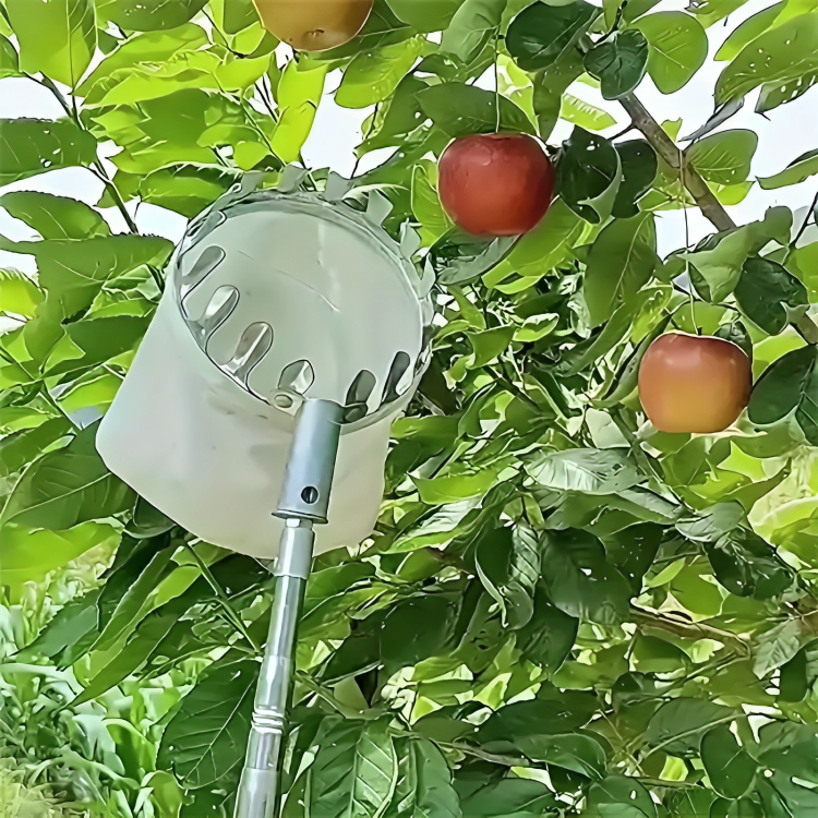 4m Fruit Picking Pole With FREE Catcher Bag