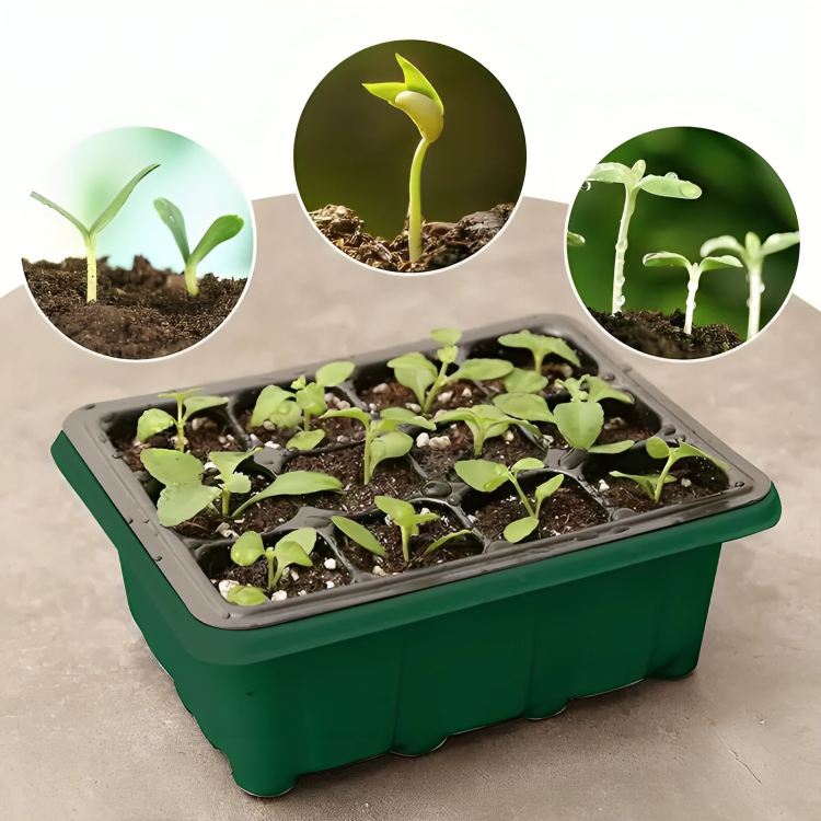 Seedling Starter Grow Box