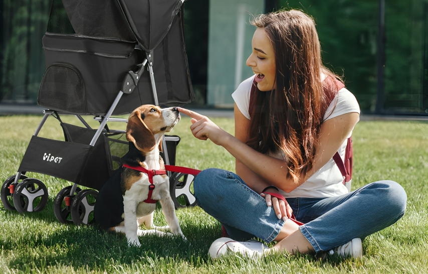 Compact Pet Pram