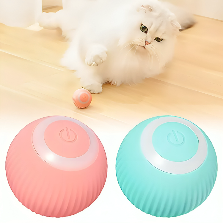 Bouncy Paws Interactive Toy